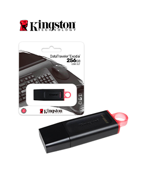 [DTX/256GB] MEMORIA FLASH USB KINGSTON DATATRAVELER EXODIA 256GB