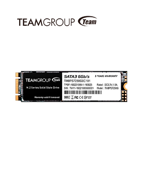 [TM8PS7256G0C101] Unidad De Estado Solido TeamGroup MS30 M.2 2280 256GB **SATA III** 6GB/S (W:500 MB/s, R:400 MB/s)